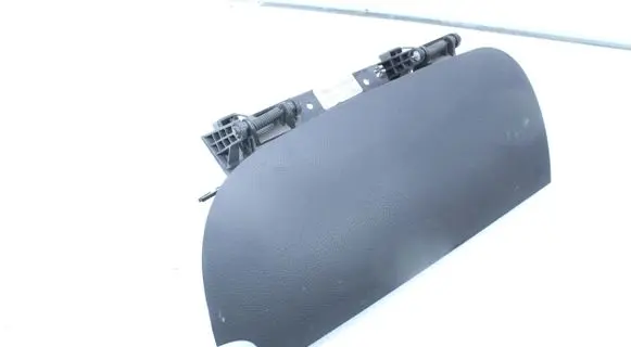 Dodge Grand Caravan Glove box lid/cover P1SV44DX9AJ