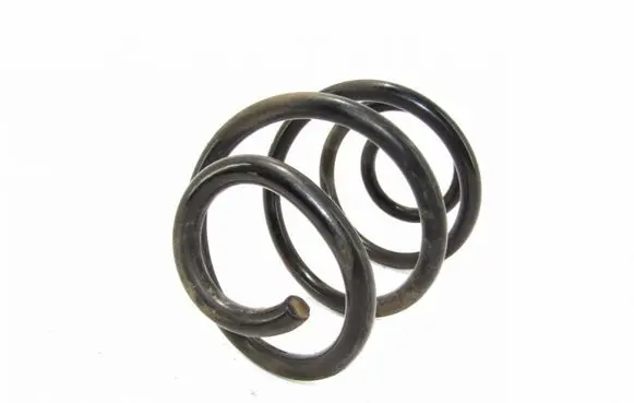 Renault Twingo II Rear coil spring