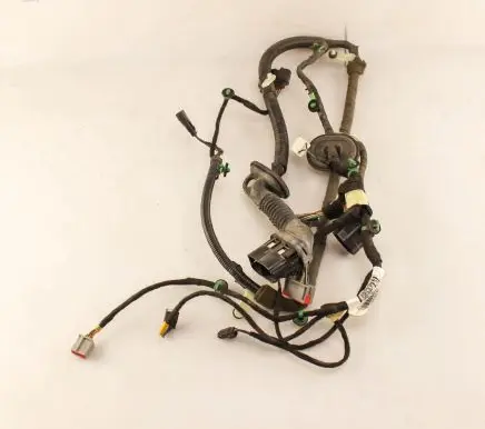 Front door wiring loom
