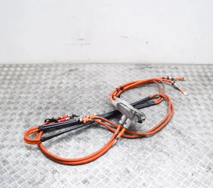 Tesla Model S Other wiring loom 106260010B