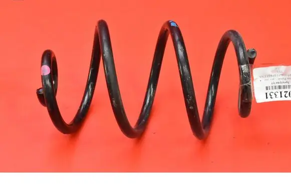 Rear coil spring