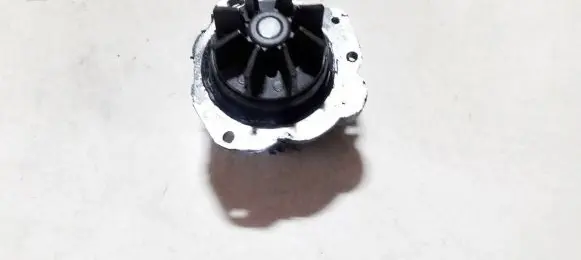 Citroen C5 Water pump