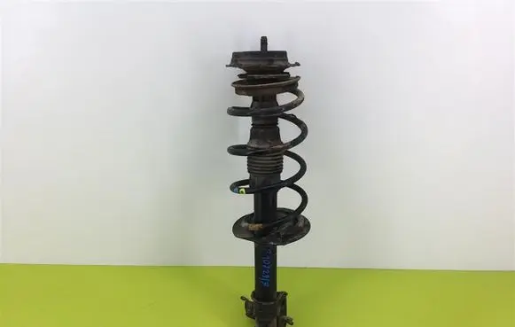 Fiat Punto (188) Front shock absorber with coil spring