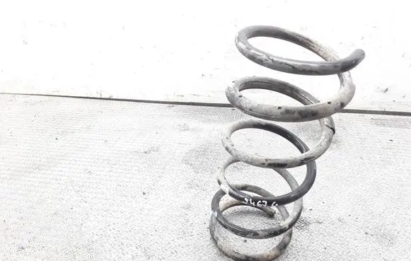 Daihatsu Sirion Rear coil spring 