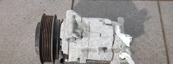 Chevrolet Captiva Air conditioning (A/C) compressor (pump) 95487907 557805030 123230287