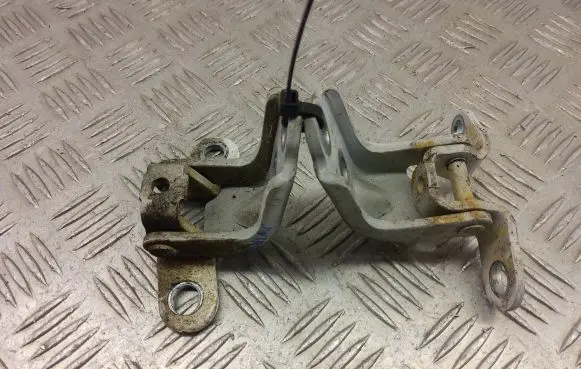 KIA Niro Front door hinge set 