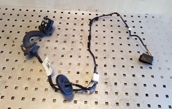 Rear door wiring loom