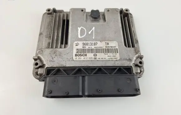 Opel Antara Engine control unit/module 96813187 0281012695