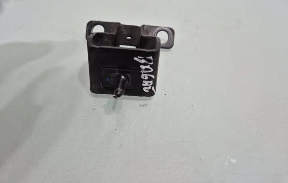 Tailgate/trunk/boot hinge