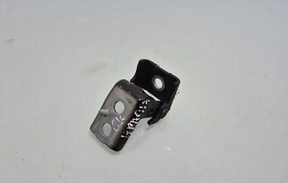 Rear door lower hinge