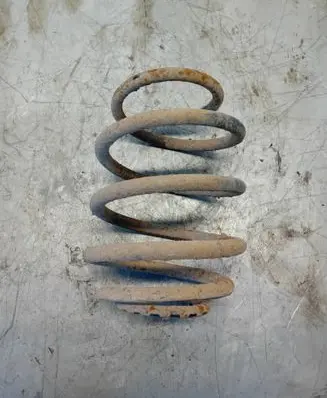 Rear coil spring
