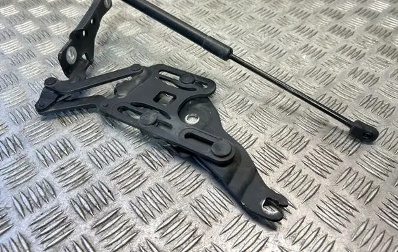 BMW X5 E70 Engine bonnet/hood hinges 7148347