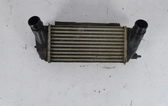 Ford Fiesta Intercooler radiator FT766K776AA