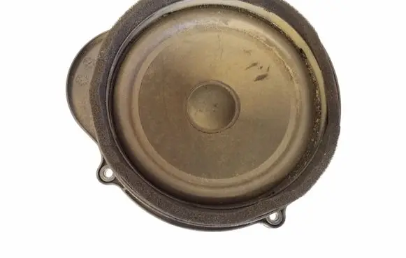 Land Rover Range Rover Sport L320 Front door speaker XQM500300 165RG056