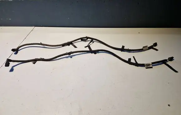 Renault Kadjar Brake wiring harness 241103848R
