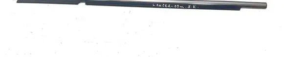 Rear door glass trim molding