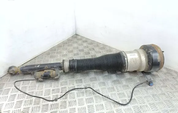 Mercedes-Benz S W221 Rear shock absorber/damper 2106012300