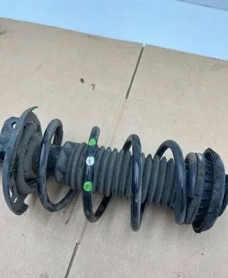 Opel Crossland X Front shock absorber with coil spring 3556095 9841119480 0301000144