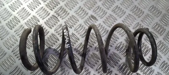 Nissan Pixo Rear coil spring