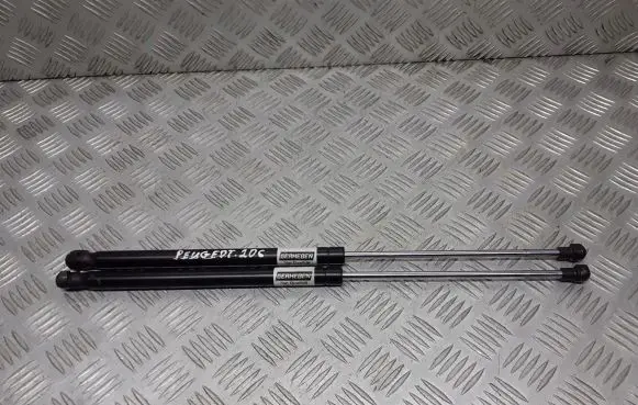 Peugeot 206 Tailgate hydraulic set 