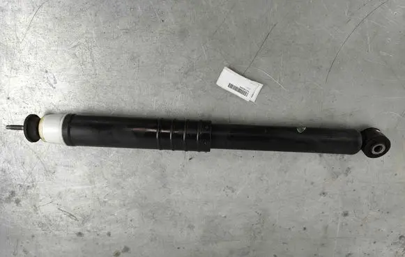 Renault Zoe Rear shock absorber/damper 562108289R