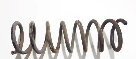 Rear coil spring