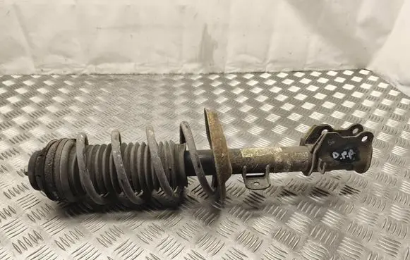Fiat Punto (199) Front shock absorber/damper 51865488