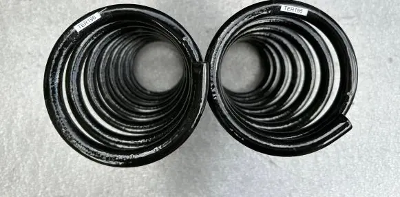 Nissan Terrano Rear coil spring 550200F602