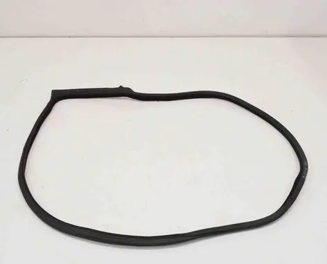BMW 4 F32 F33 Rubber seal front coupe door 7279741