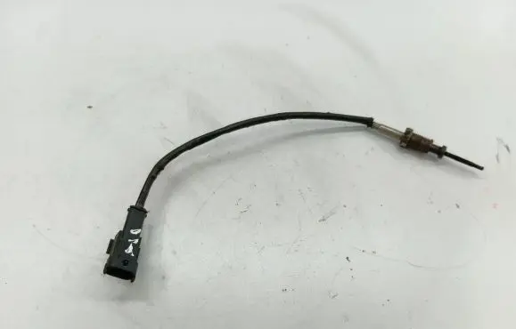 KIA Carens II Exhaust gas temperature sensor