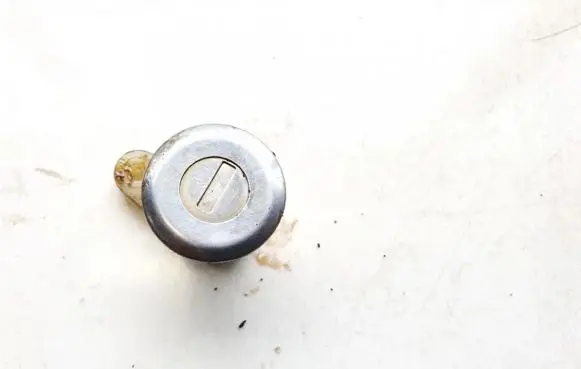 Dacia Logan I Front door lock (next to the handle) 