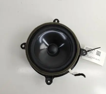 Rear door speaker
