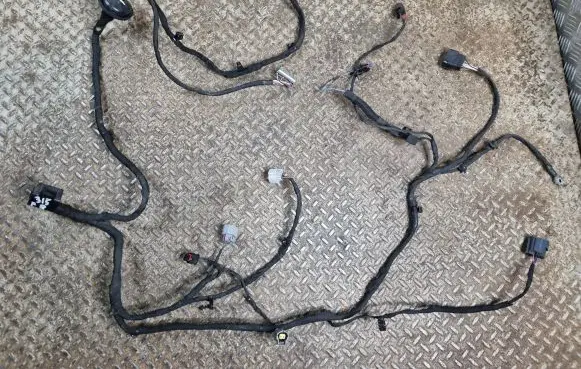 Dodge Challenger Other wiring loom