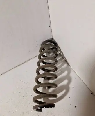 Rear coil spring