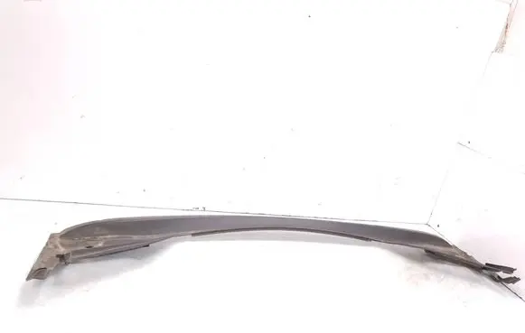 Peugeot 307 CC Wiper trim 9657173977