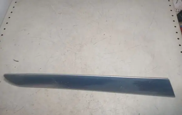 Other rear door trim element