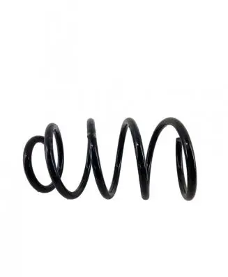 Mini Paceman (R61) Front coil spring