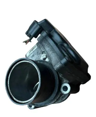 Renault Master III Throttle valve 8200987453 286016661