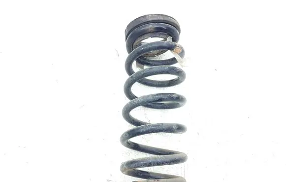 Ford Edge II Rear coil spring F2GC5560 F2GC5560BND