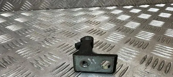 Skoda Octavia Mk3 (5E) Rear door lower hinge 
