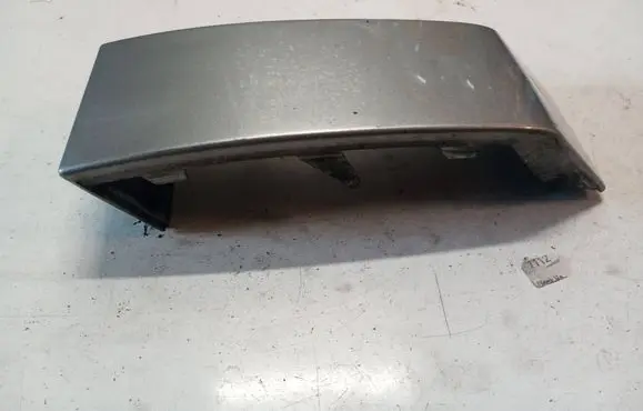 Rear/tail light trim molding