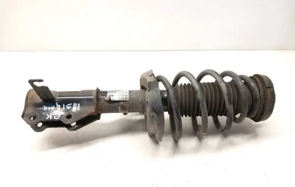 Opel Insignia A Front shock absorber/damper 22951822 E4644301 367327926