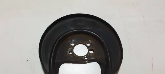 Skoda Fabia Mk3 (NJ) Rear brake disc plate dust cover 6R0616611