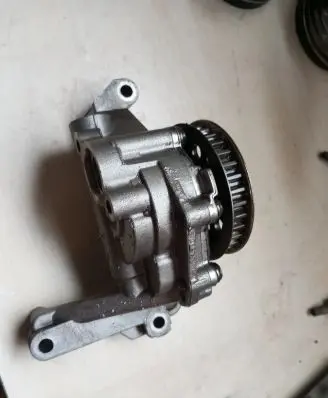 Volkswagen Amarok Oil pump 1306051115