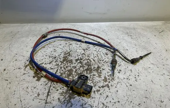 Nissan Qashqai Exhaust gas temperature sensor 226587733R B115018