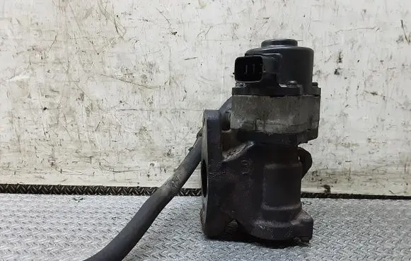 Nissan Primera EGR valve
