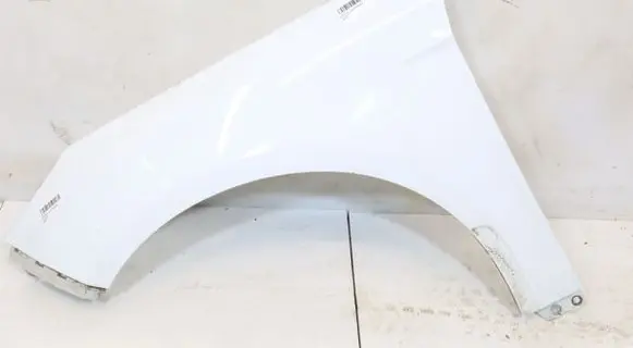 Ford Focus Fender