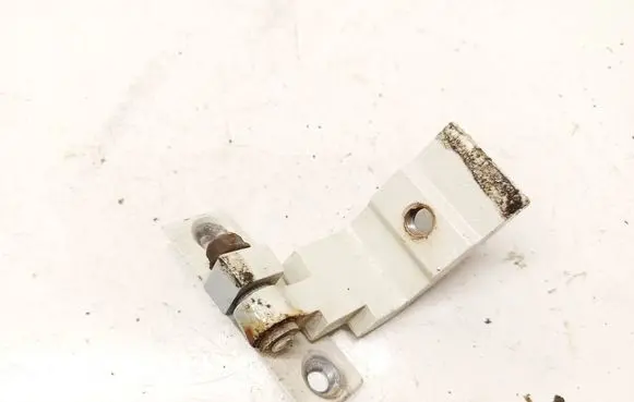 BMW X6 E71 Rear door lower hinge 