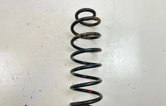 Rear coil spring