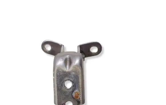 KIA Niro Front door lower hinge